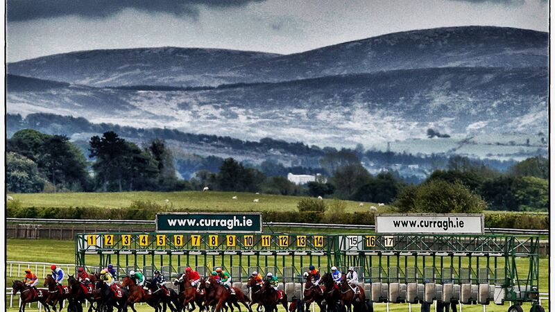 Narciso Has makes a statement at Leopardstown